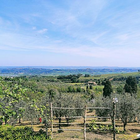 La Casina Di Colle - Appartamento Rustico Sulle Colline Di Pisa Casciana Terme Zewnętrze zdjęcie
